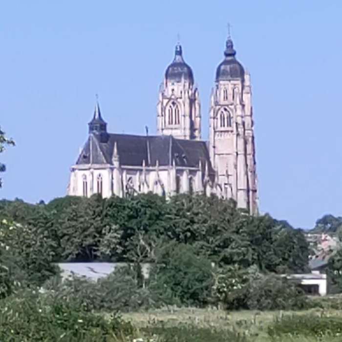 Photo de Basilique de Saint-Nicolas-de-Port