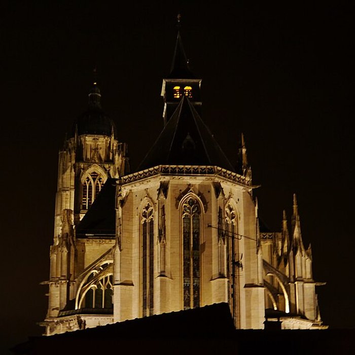 Photo de Basilique de Saint-Nicolas-de-Port