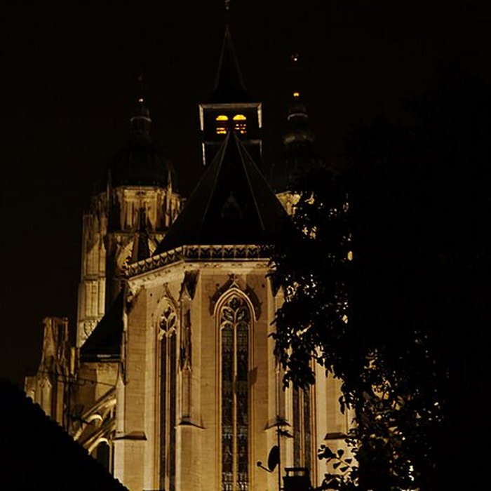 Photo de Basilique de Saint-Nicolas-de-Port