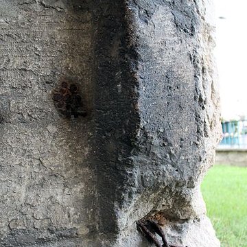 Église Sainte-Marie-Madeleine de Massy