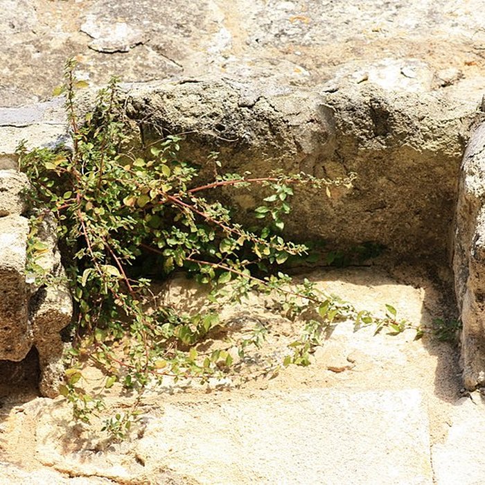 Photo de Église Sainte-Radegonde de Sainte-Radegonde dans la Gironde