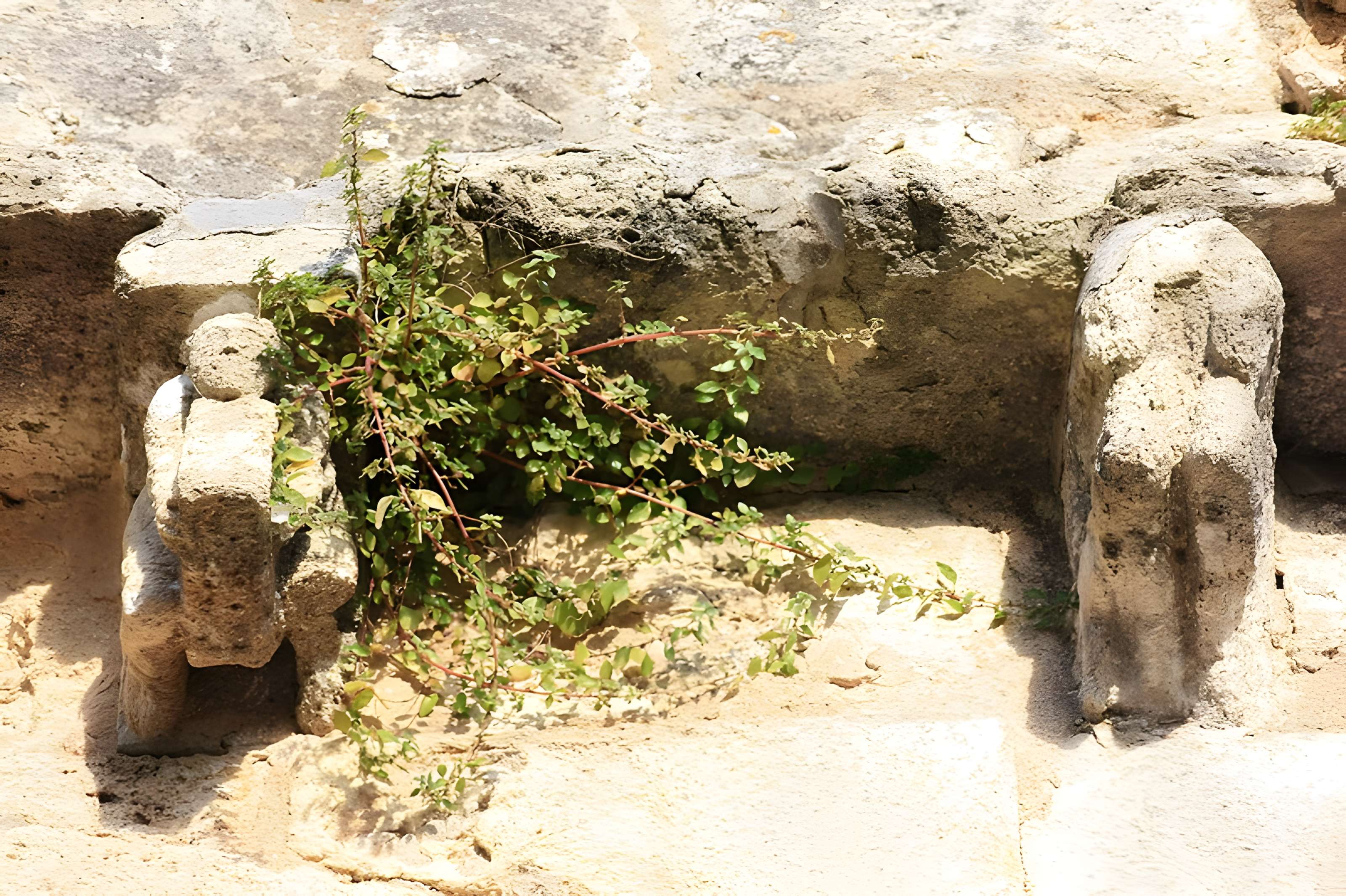 Église Sainte-Radegonde de Sainte-Radegonde dans la Gironde