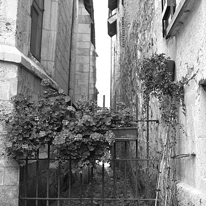 Photo de Église Saint-Étienne de Honfleur
