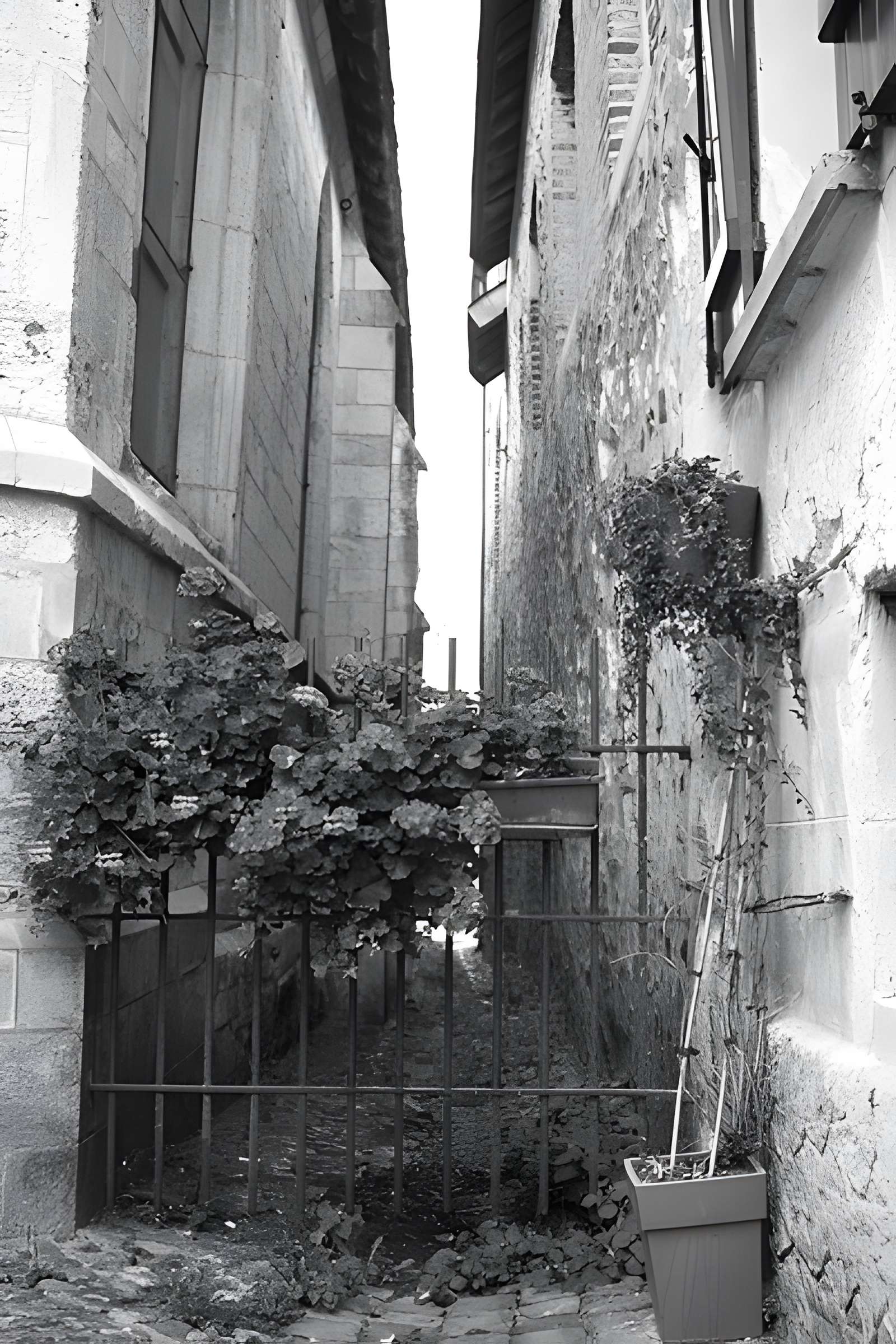 Église Saint-Étienne de Honfleur