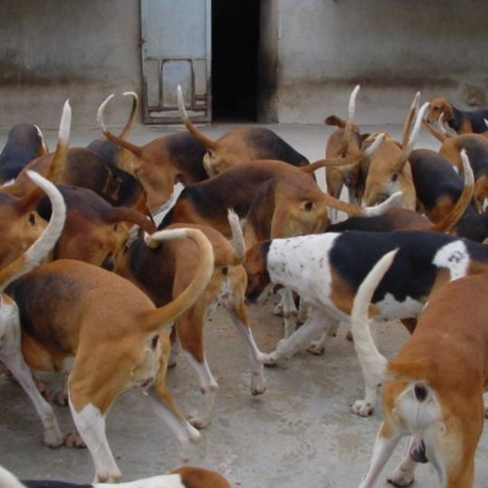 Photo de Abbaye du Val des Choues