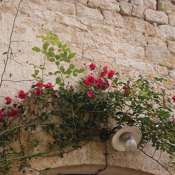 Photo de Abbaye du Val des Choues