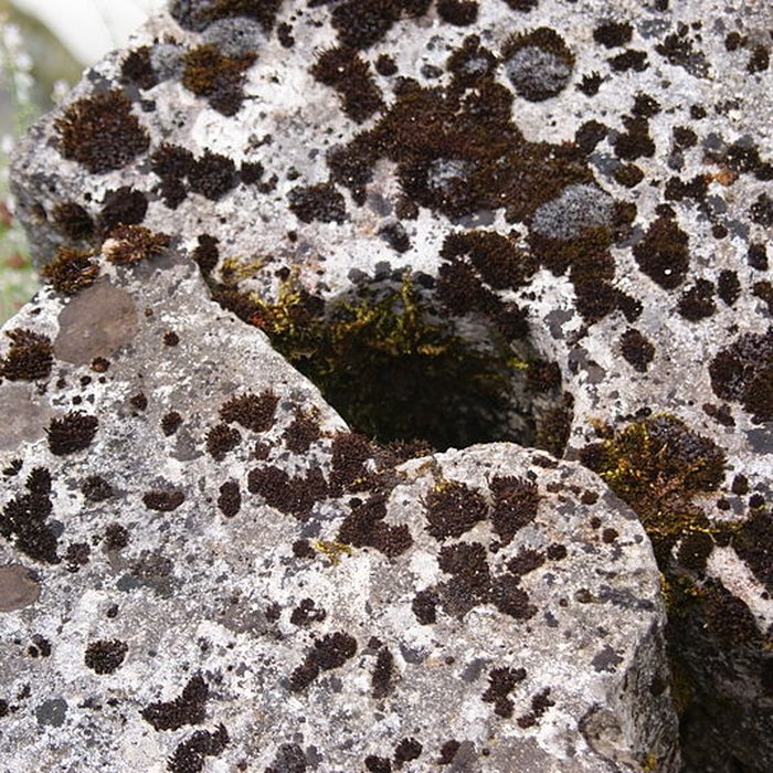 Photo de Abbaye du Val des Choues