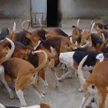 Abbaye du Val des Choues