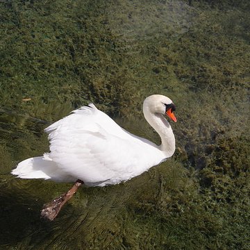 Abbaye du Val des Choues