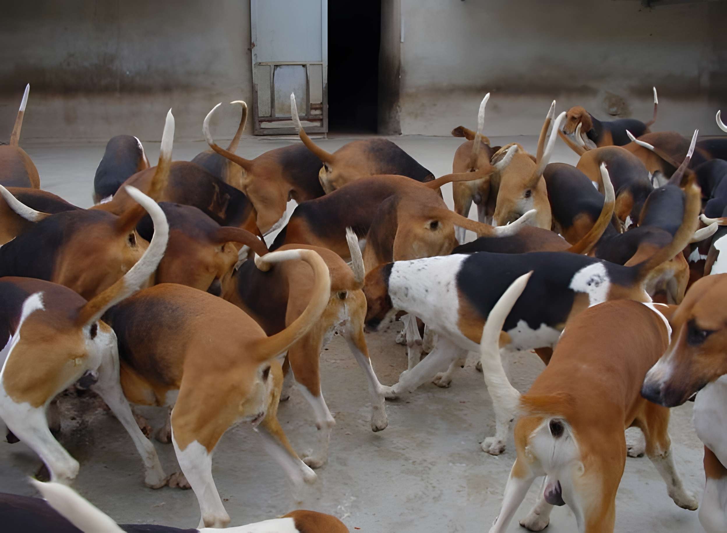 Abbaye du Val des Choues