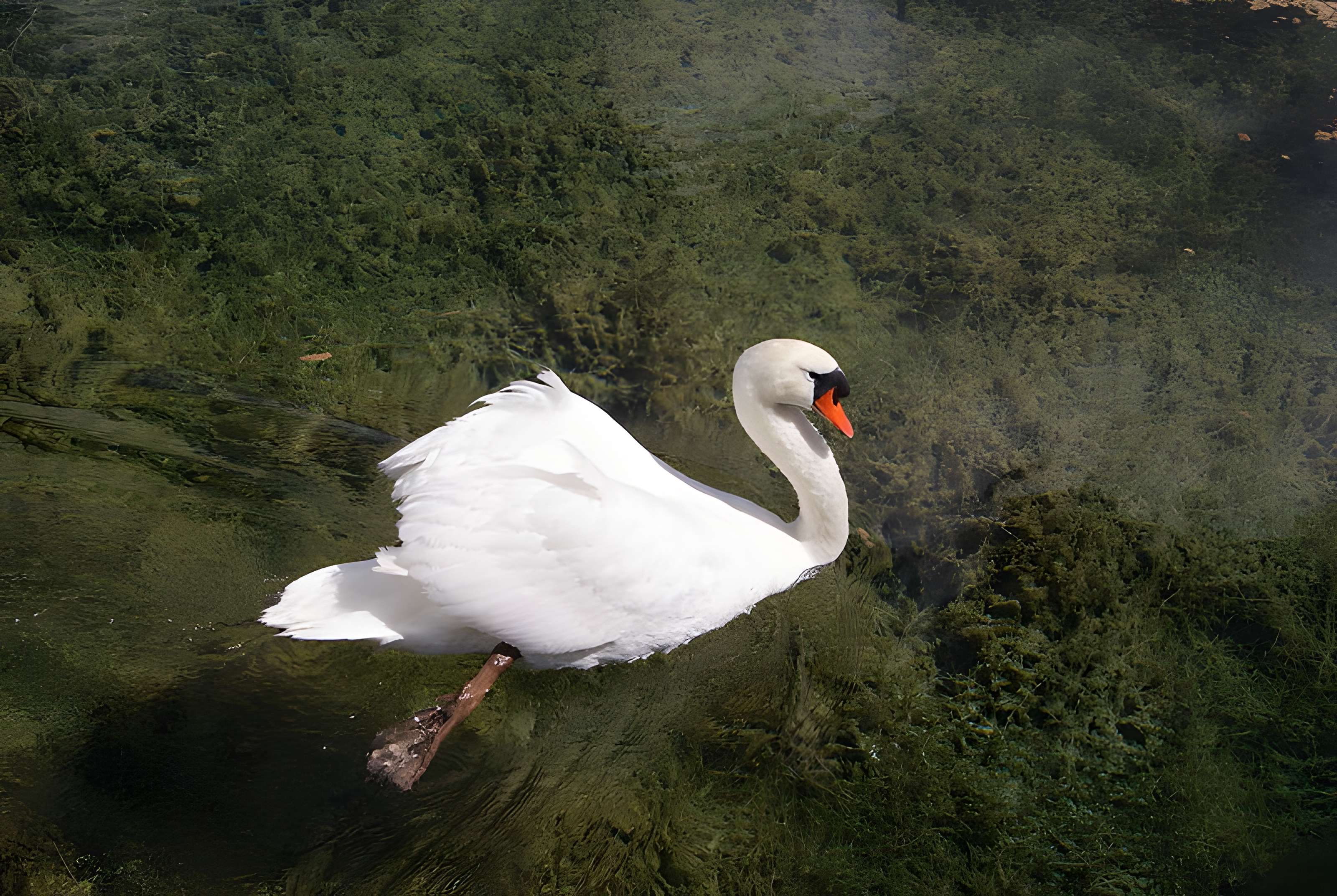 Abbaye du Val des Choues