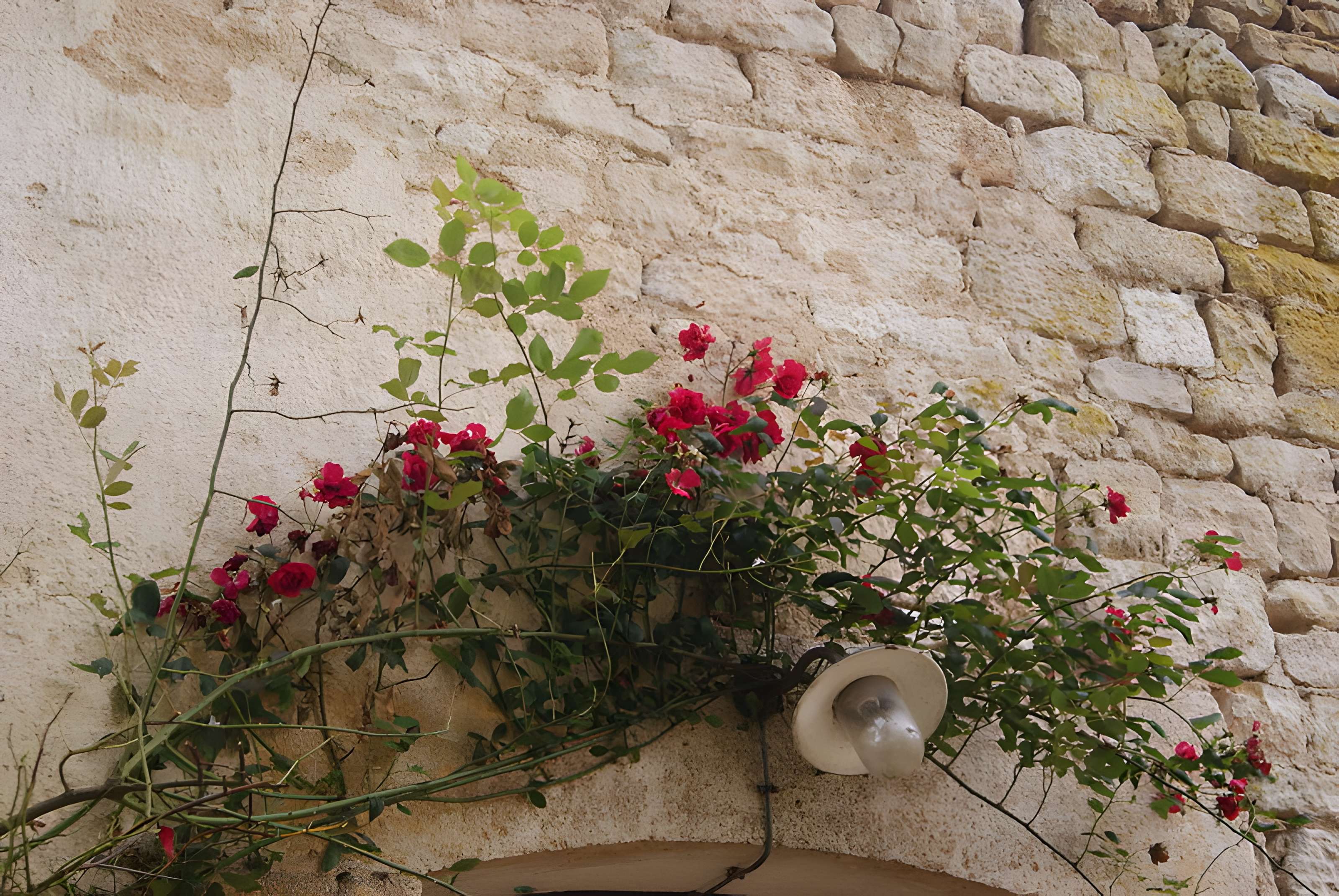 Abbaye du Val des Choues