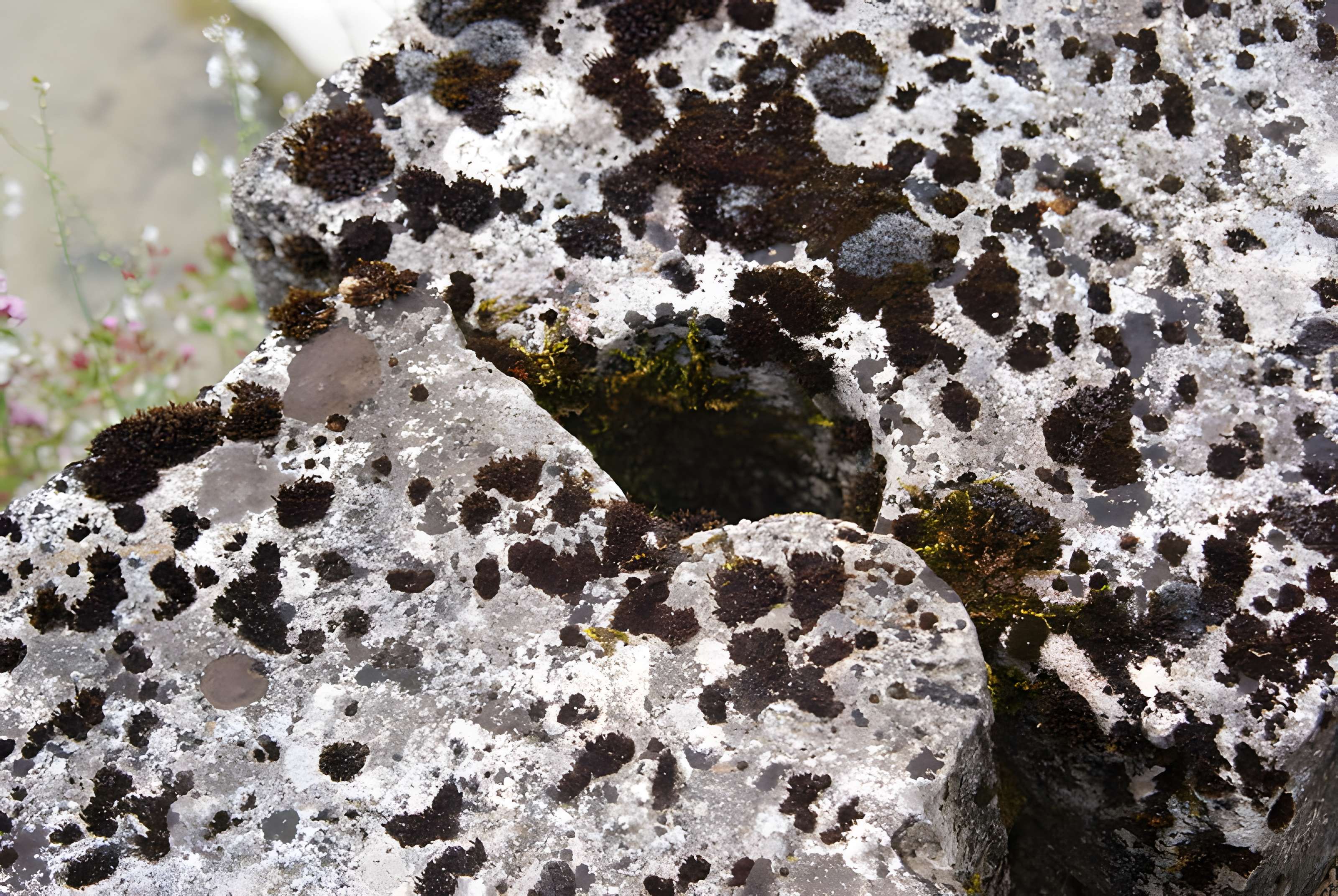 Abbaye du Val des Choues