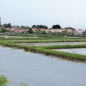 Abbaye et Église Saint-Philibert