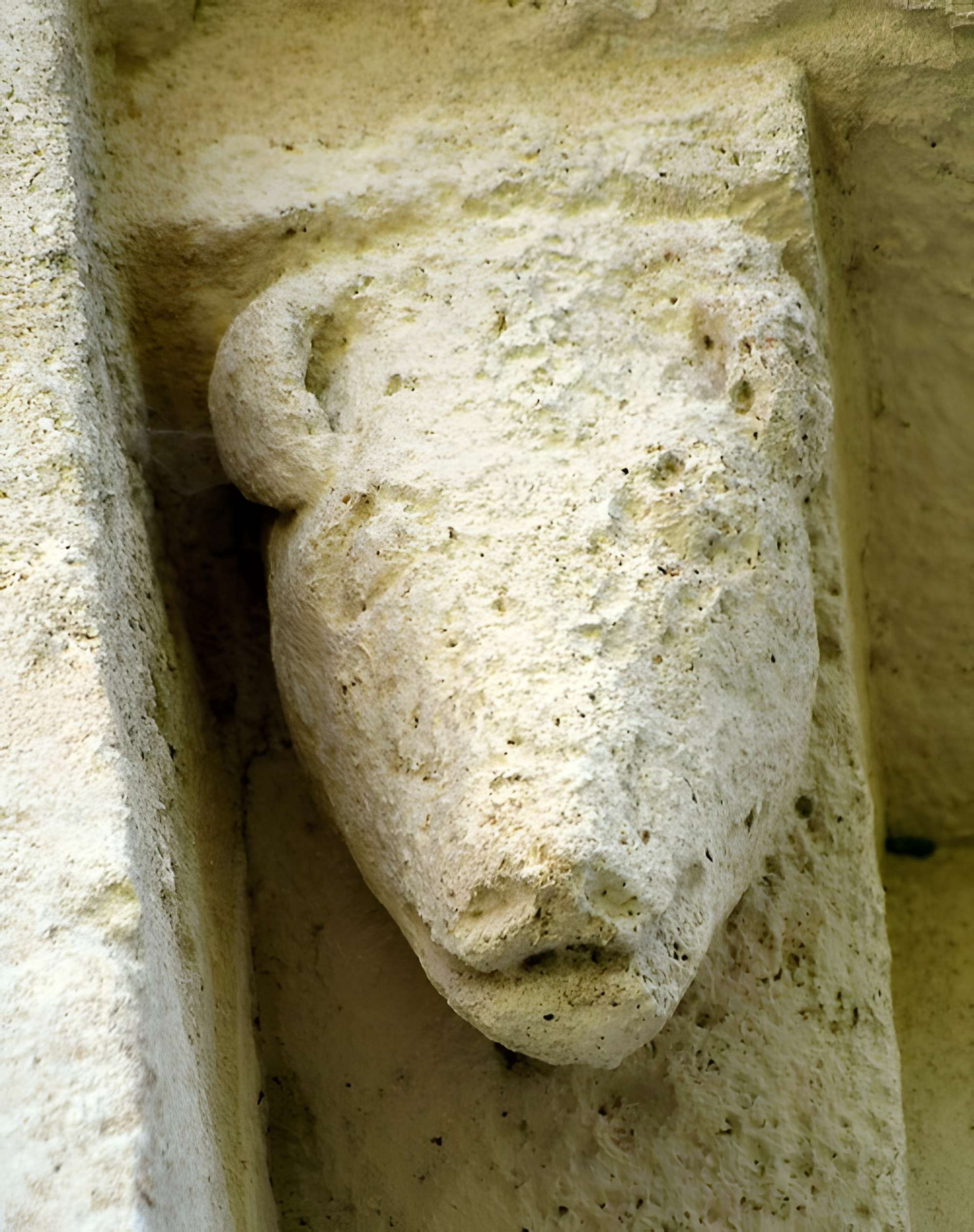 Église Saint-Etienne de Saint-Étienne-de-Lisse