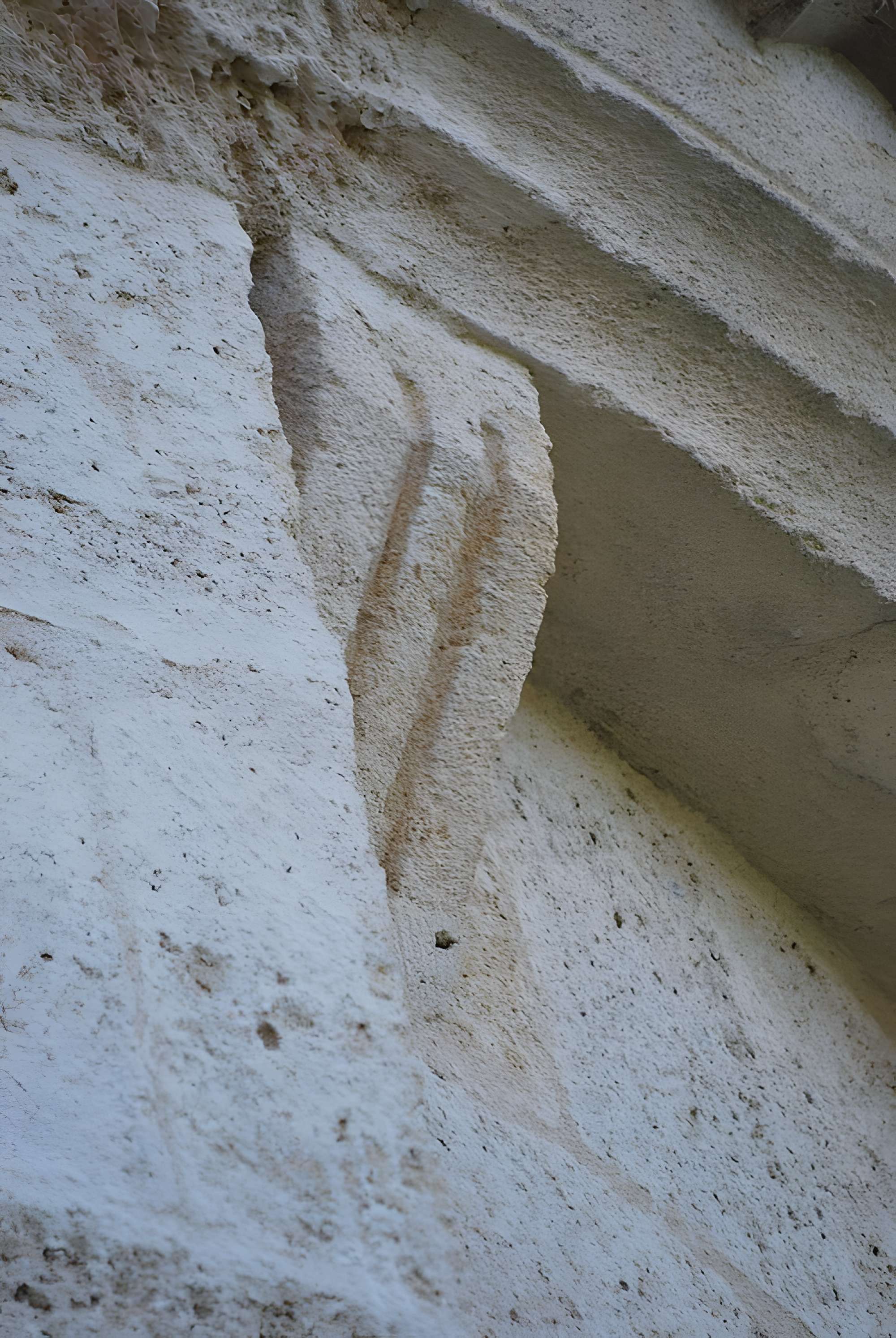 Église Saint-Etienne de Saint-Étienne-de-Lisse