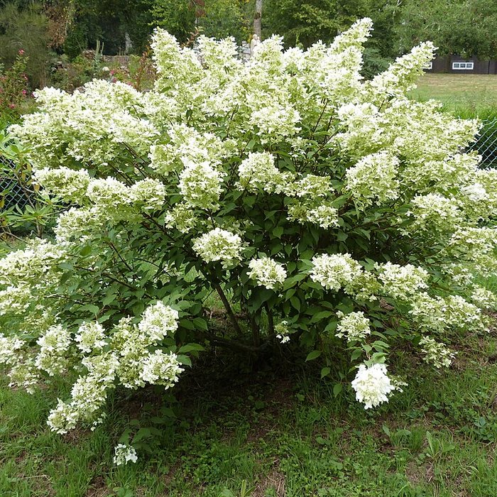 Photo de Abbaye Notre-Dame de Boquen