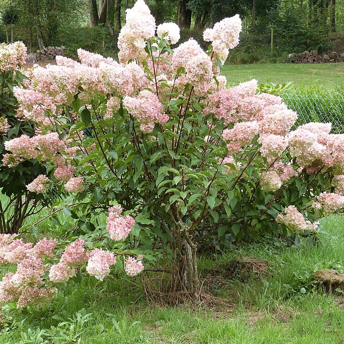 Photo de Abbaye Notre-Dame de Boquen