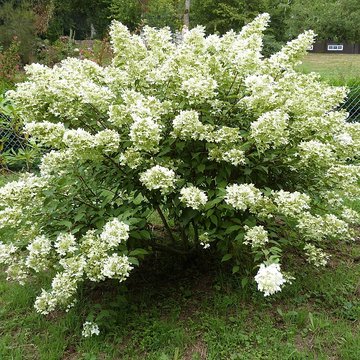 Abbaye Notre-Dame de Boquen