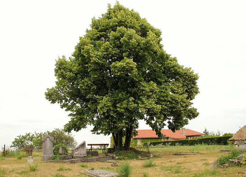Église Saint-Eustache de Saint-Haon-le-Châtel