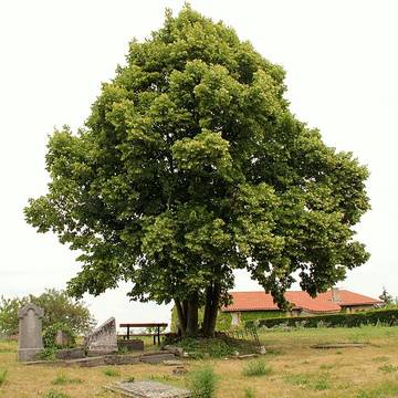 Église Saint-Eustache de Saint-Haon-le-Châtel