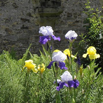 Abbaye Notre-Dame de Daoulas