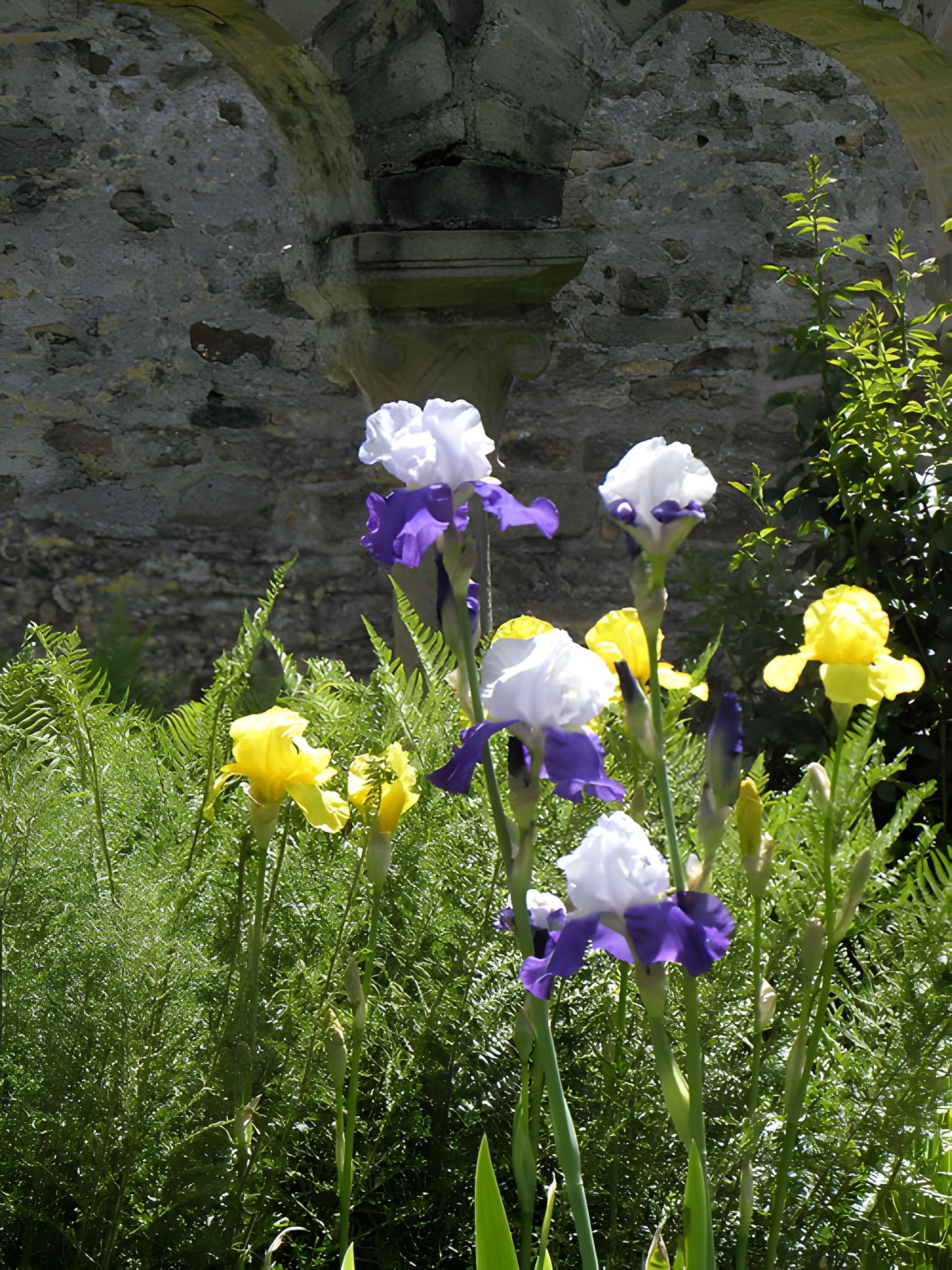 Abbaye Notre-Dame de Daoulas