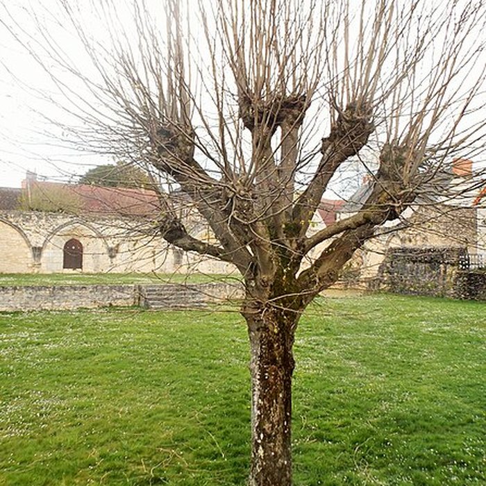 Photo de Abbaye Notre-Dame de Déols