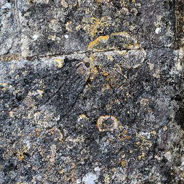 Église Saint-Fort de Mouillac