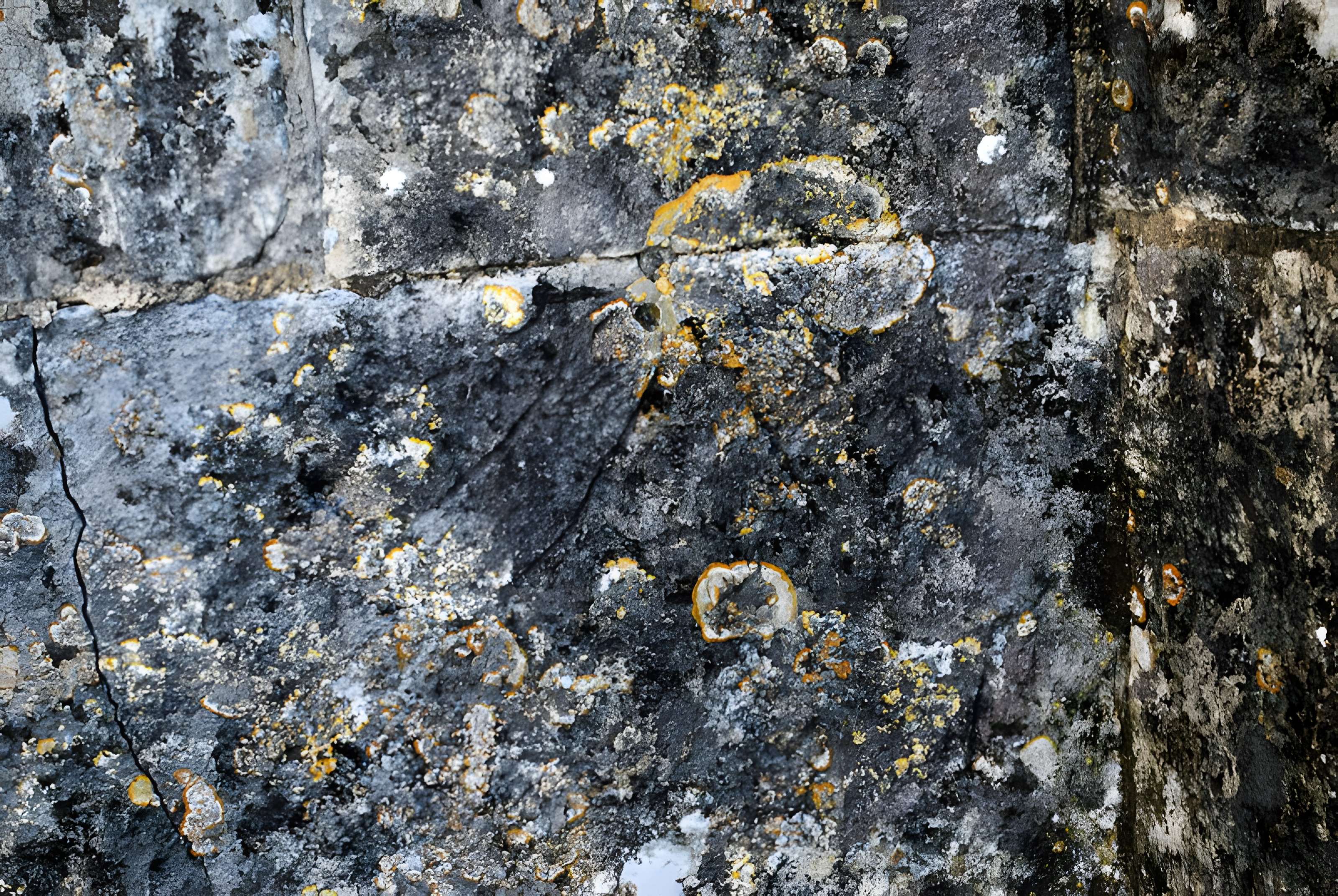 Église Saint-Fort de Mouillac