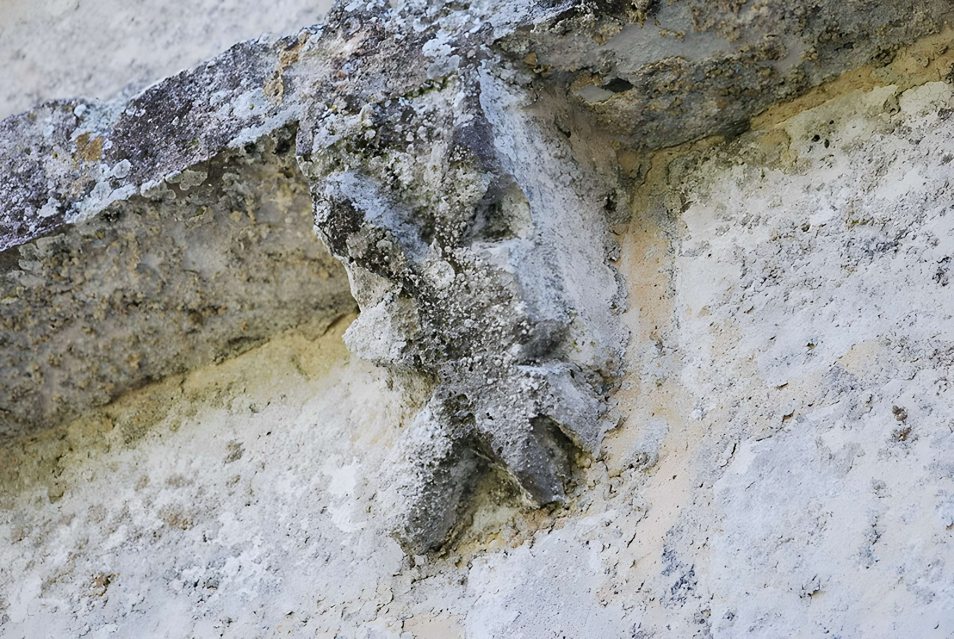 Église Saint-Fort de Mouillac
