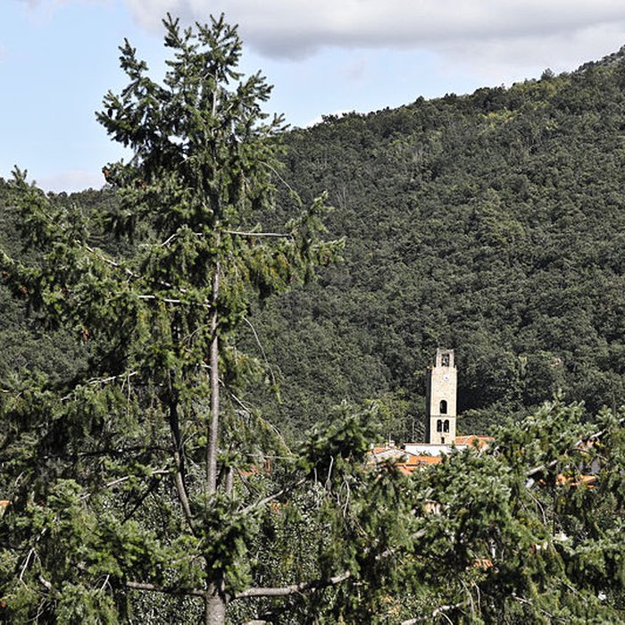Photo de Église Saint-Fructueux de Taurinya