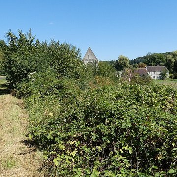Abbaye Notre-Dame de Lieu-Restauré