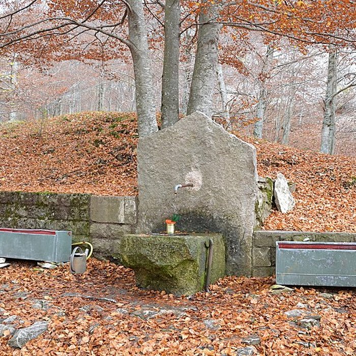 Photo de Abbaye Notre-Dame-de-Lure restes de lancienne