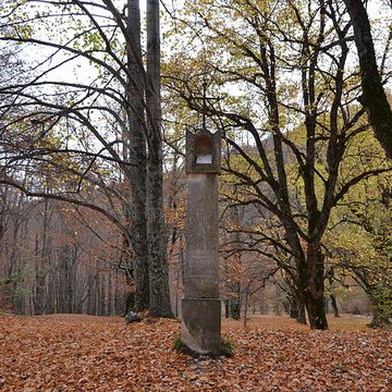 Abbaye Notre-Dame-de-Lure restes de lancienne