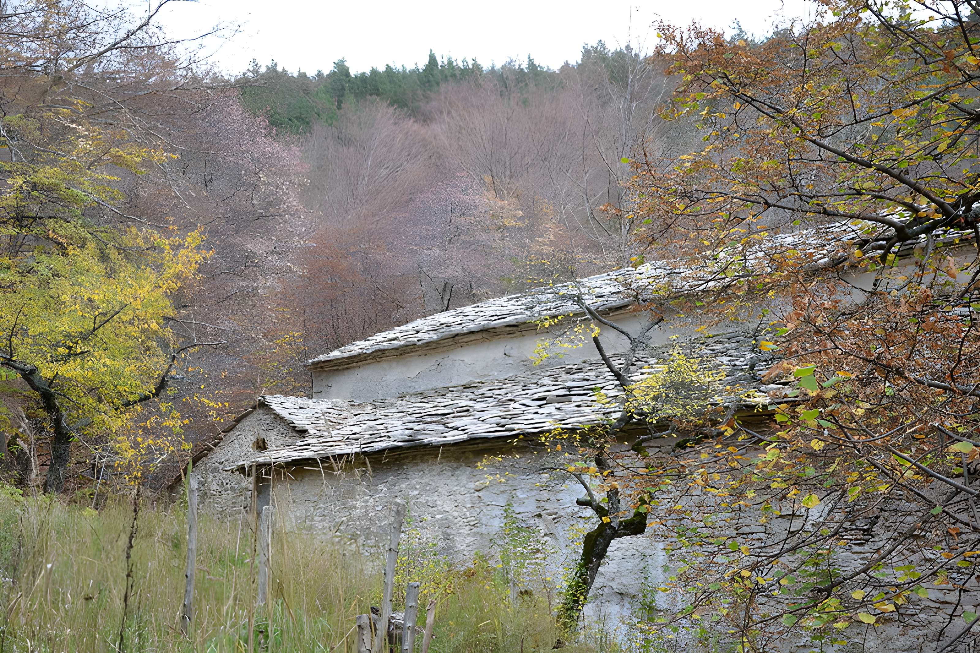 Abbaye Notre-Dame-de-Lure (restes de l'ancienne)