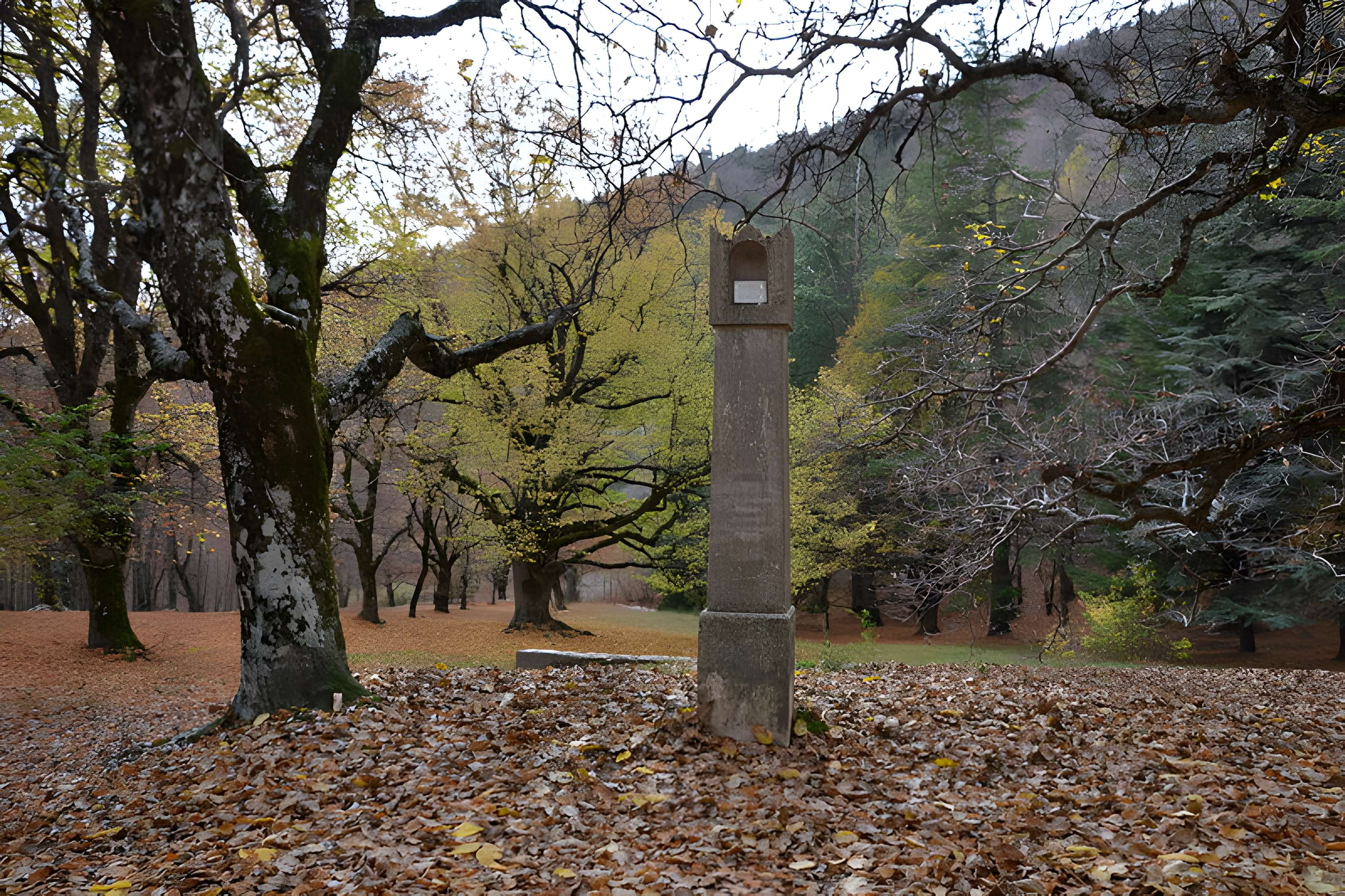 Abbaye Notre-Dame-de-Lure (restes de l'ancienne)