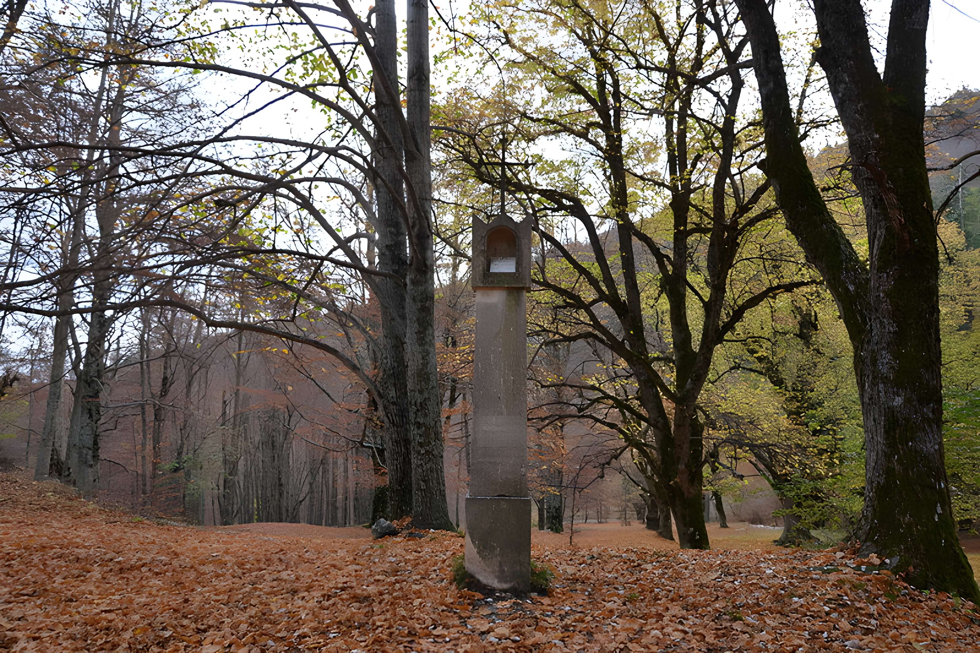 Abbaye Notre-Dame-de-Lure (restes de l'ancienne)