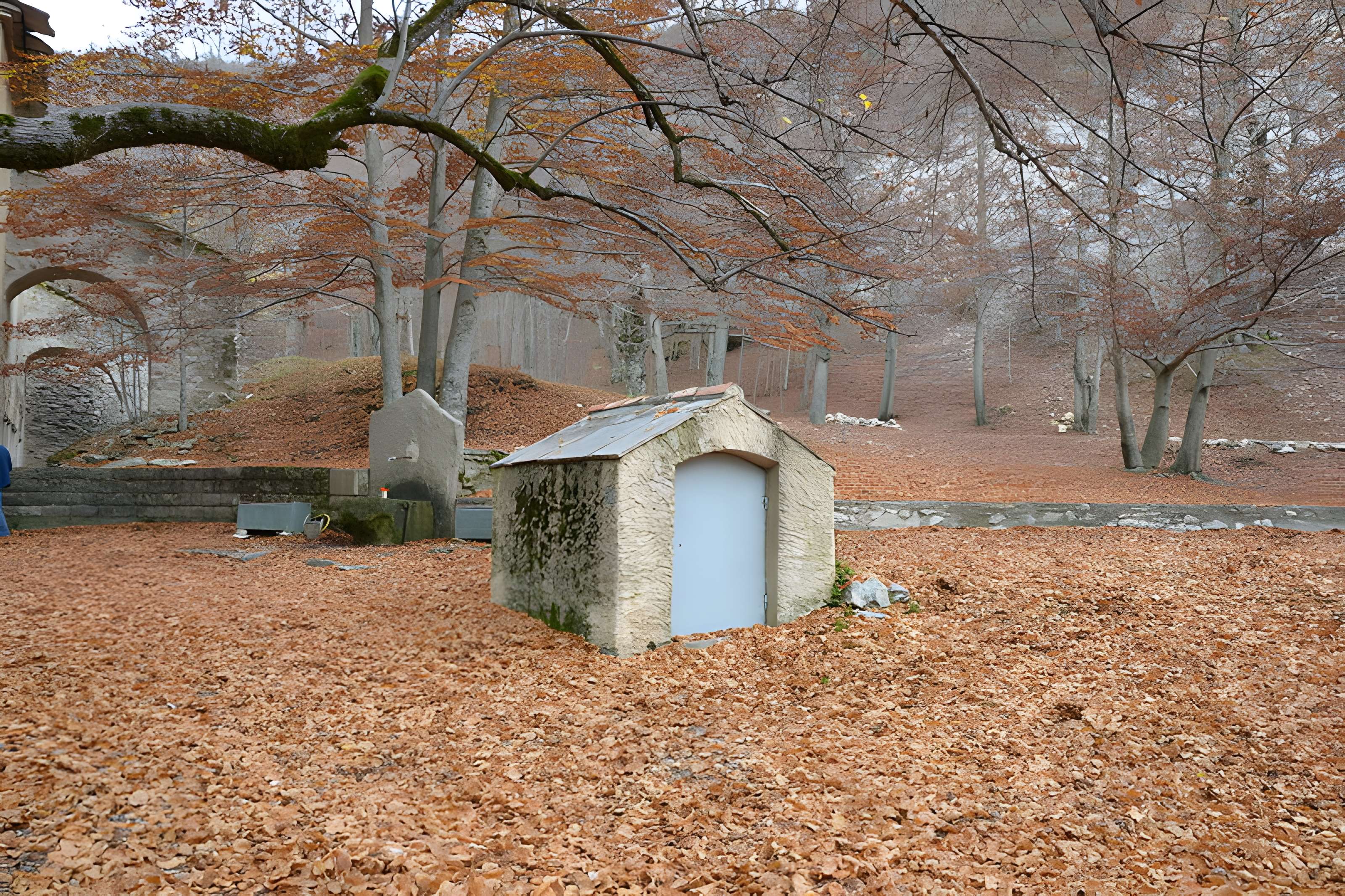 Abbaye Notre-Dame-de-Lure (restes de l'ancienne)