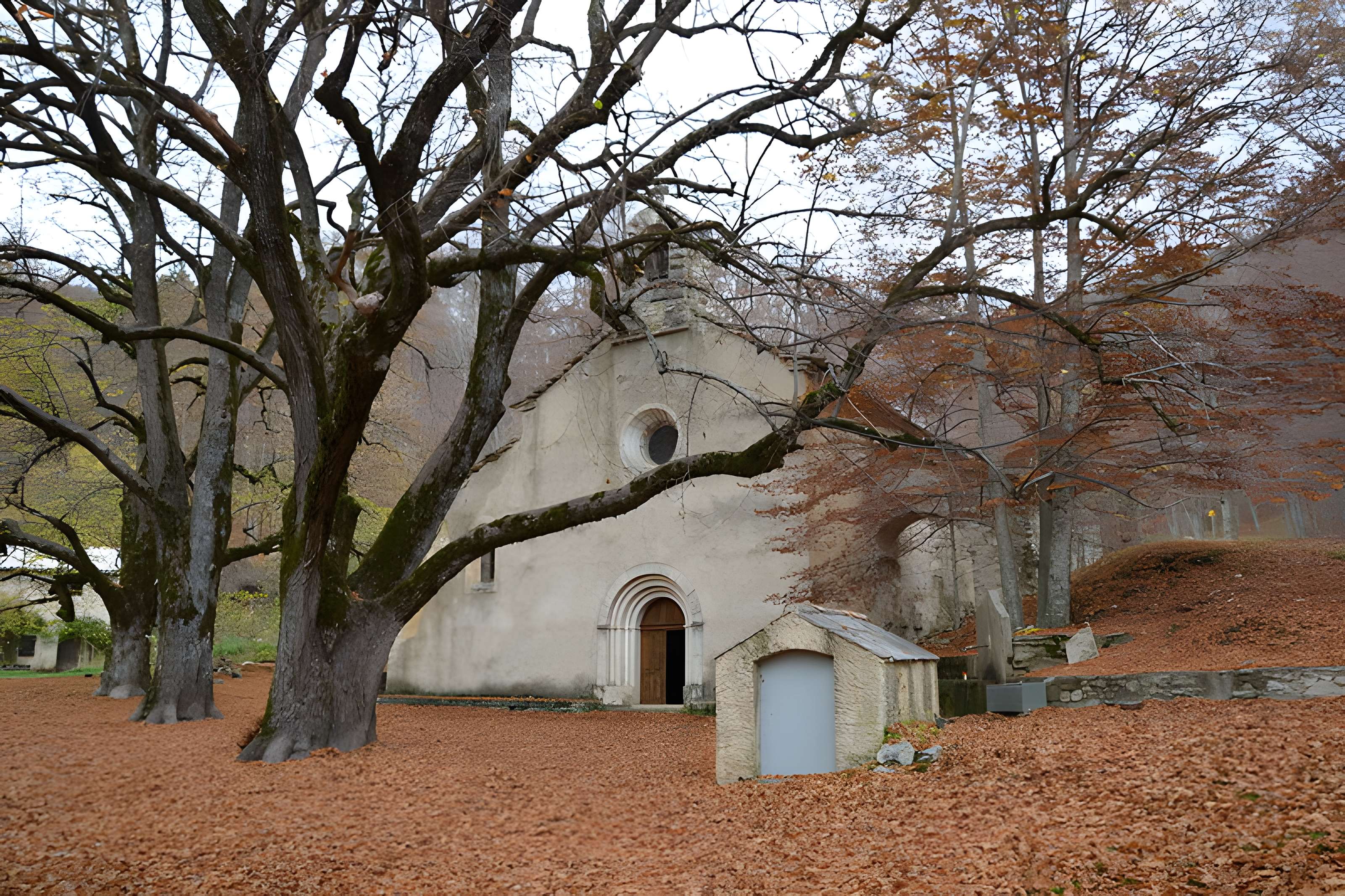 Abbaye Notre-Dame-de-Lure (restes de l'ancienne)