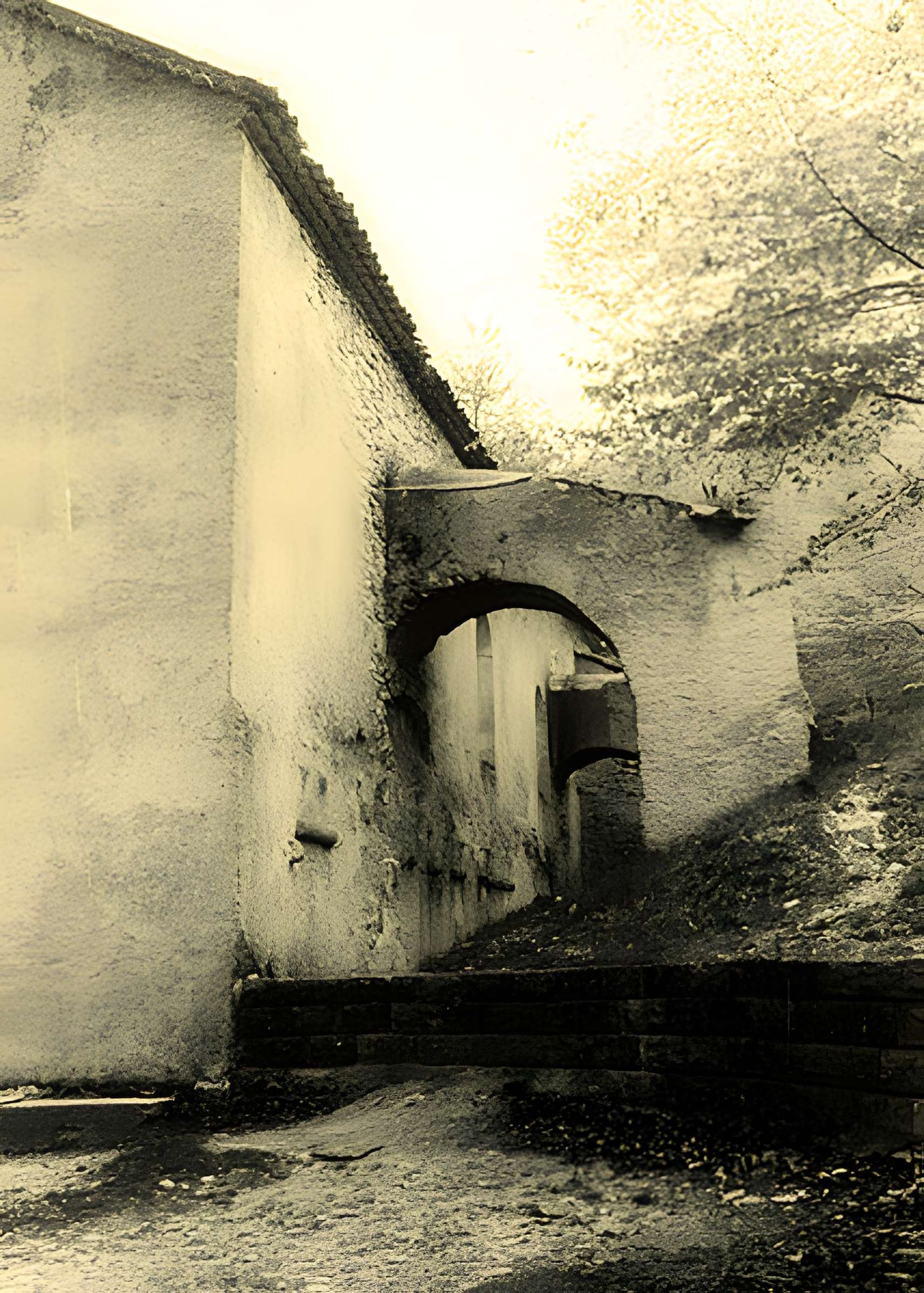 Abbaye Notre-Dame-de-Lure (restes de l'ancienne)