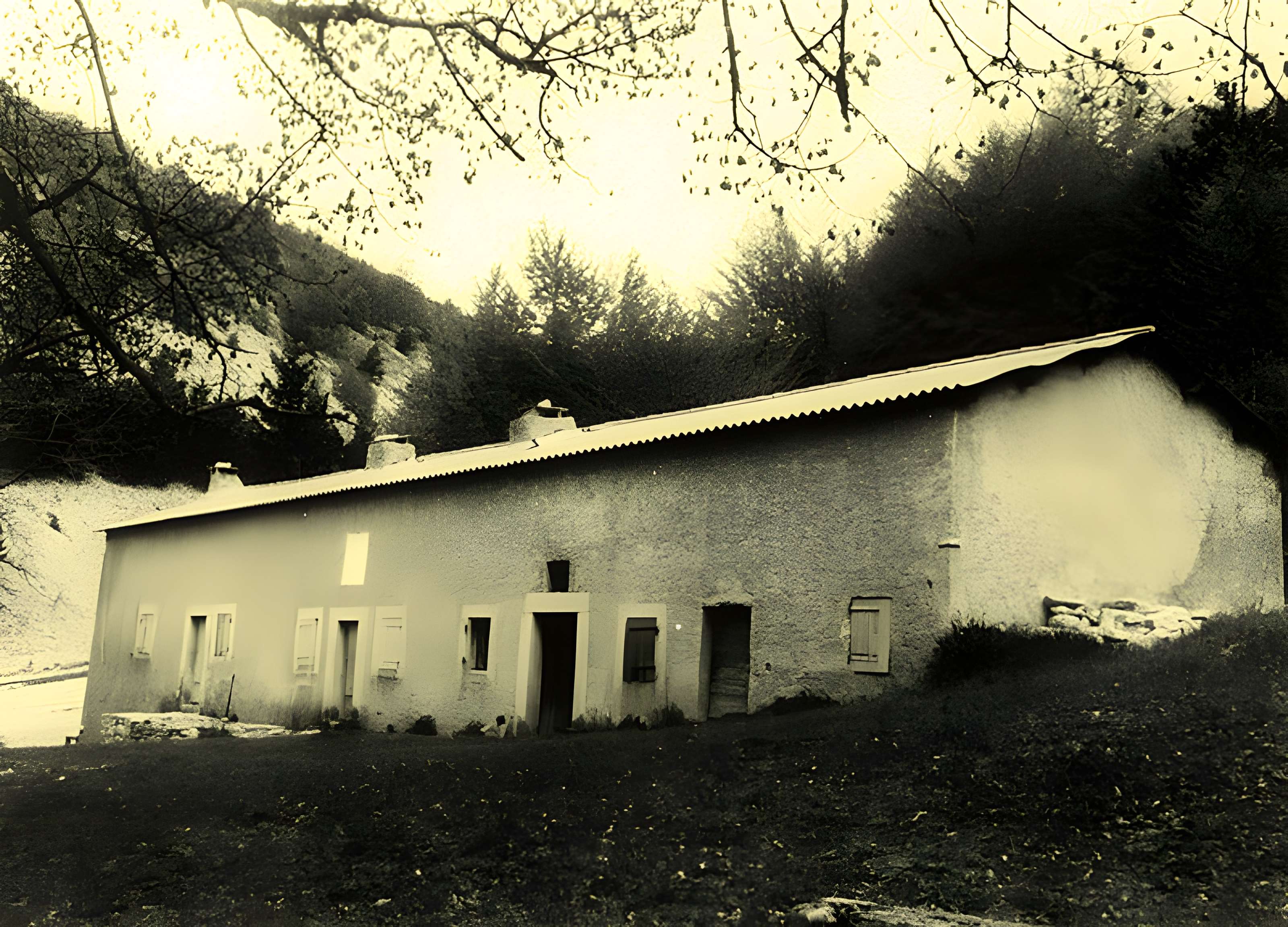 Abbaye Notre-Dame-de-Lure (restes de l'ancienne)