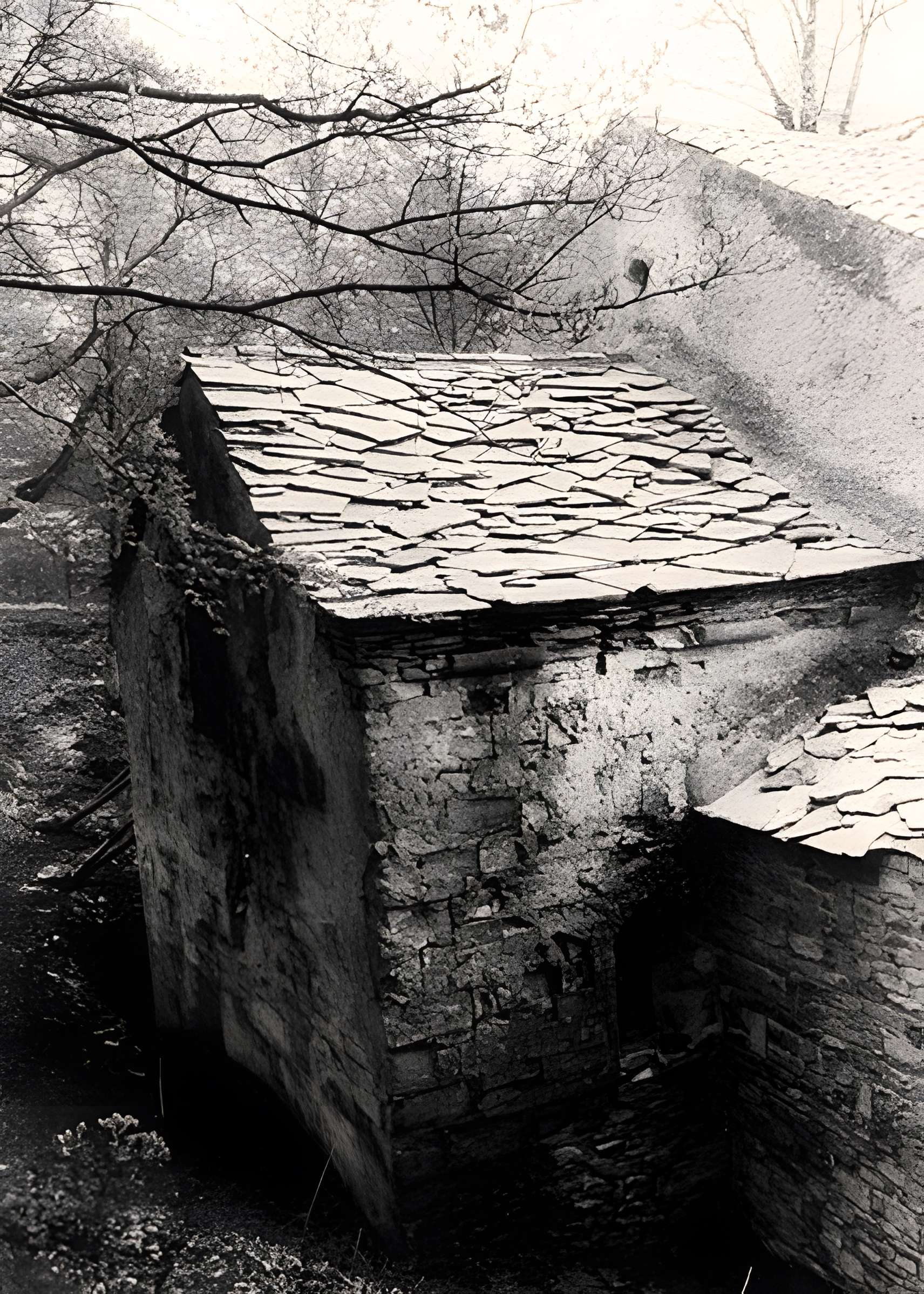 Abbaye Notre-Dame-de-Lure (restes de l'ancienne)