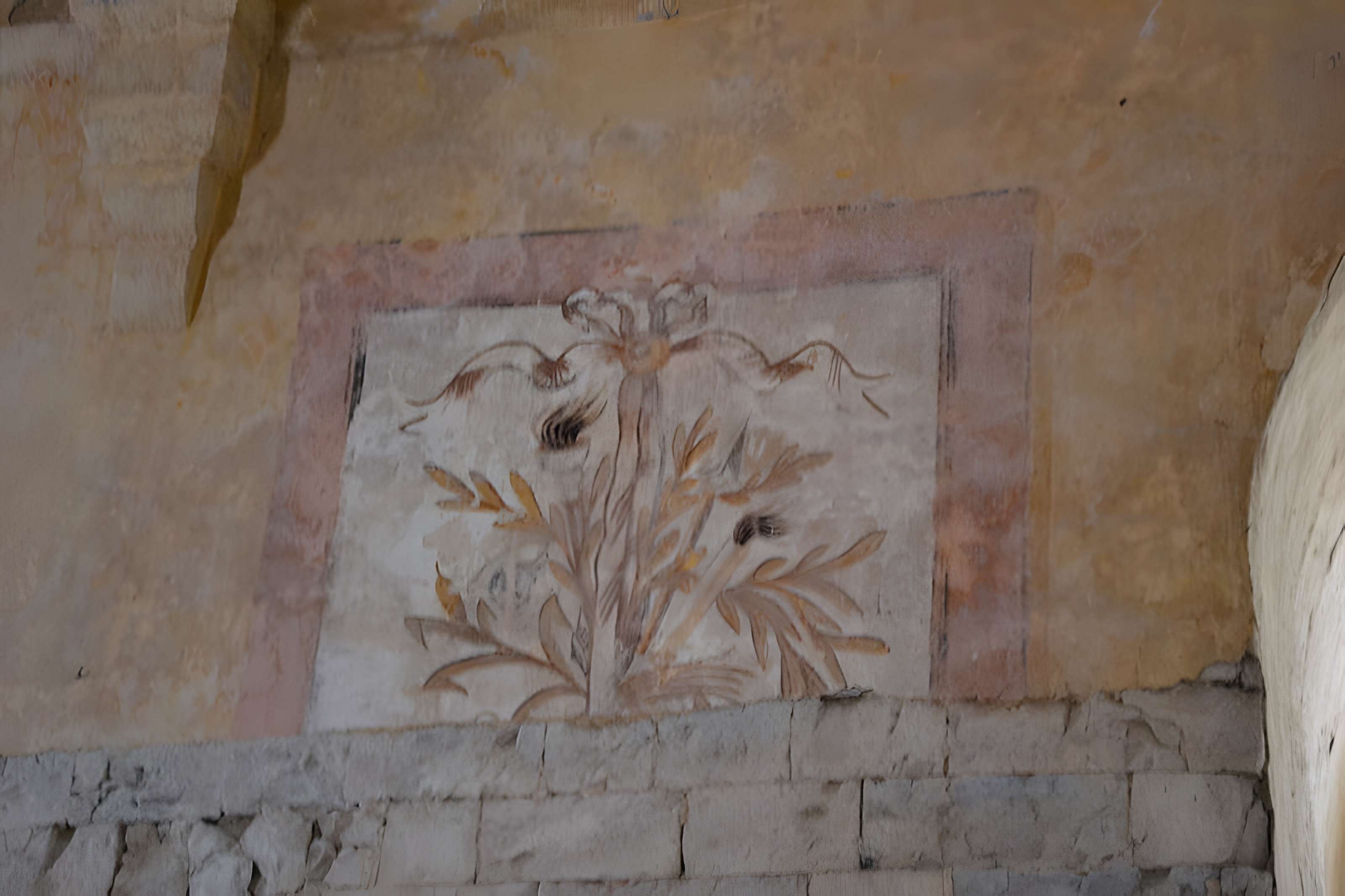 Abbaye Notre-Dame-de-Lure (restes de l'ancienne)