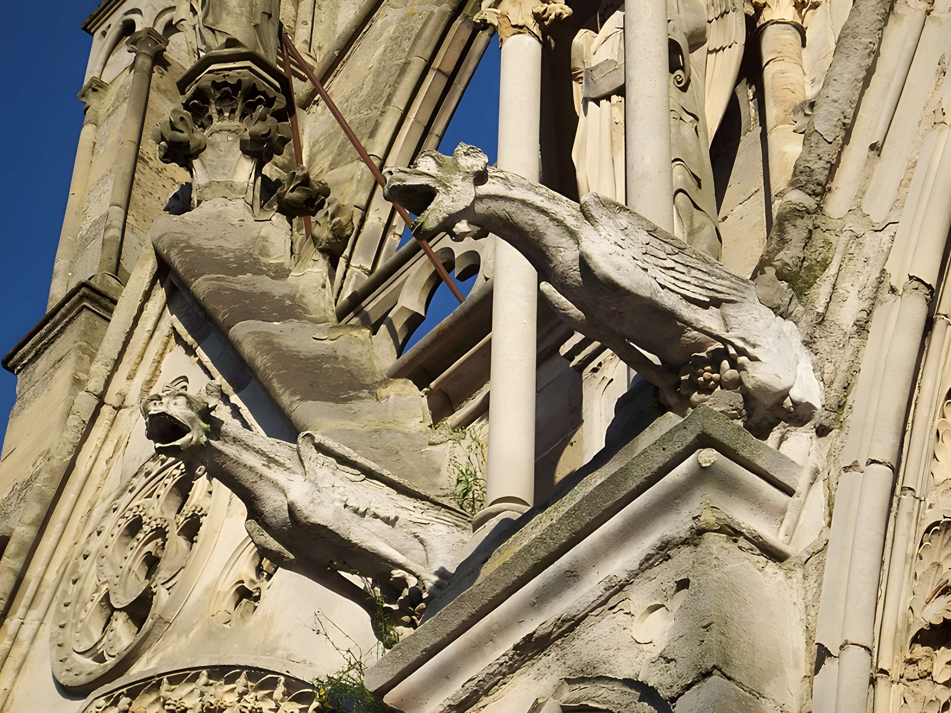 Basilique Notre-Dame de Bonsecours