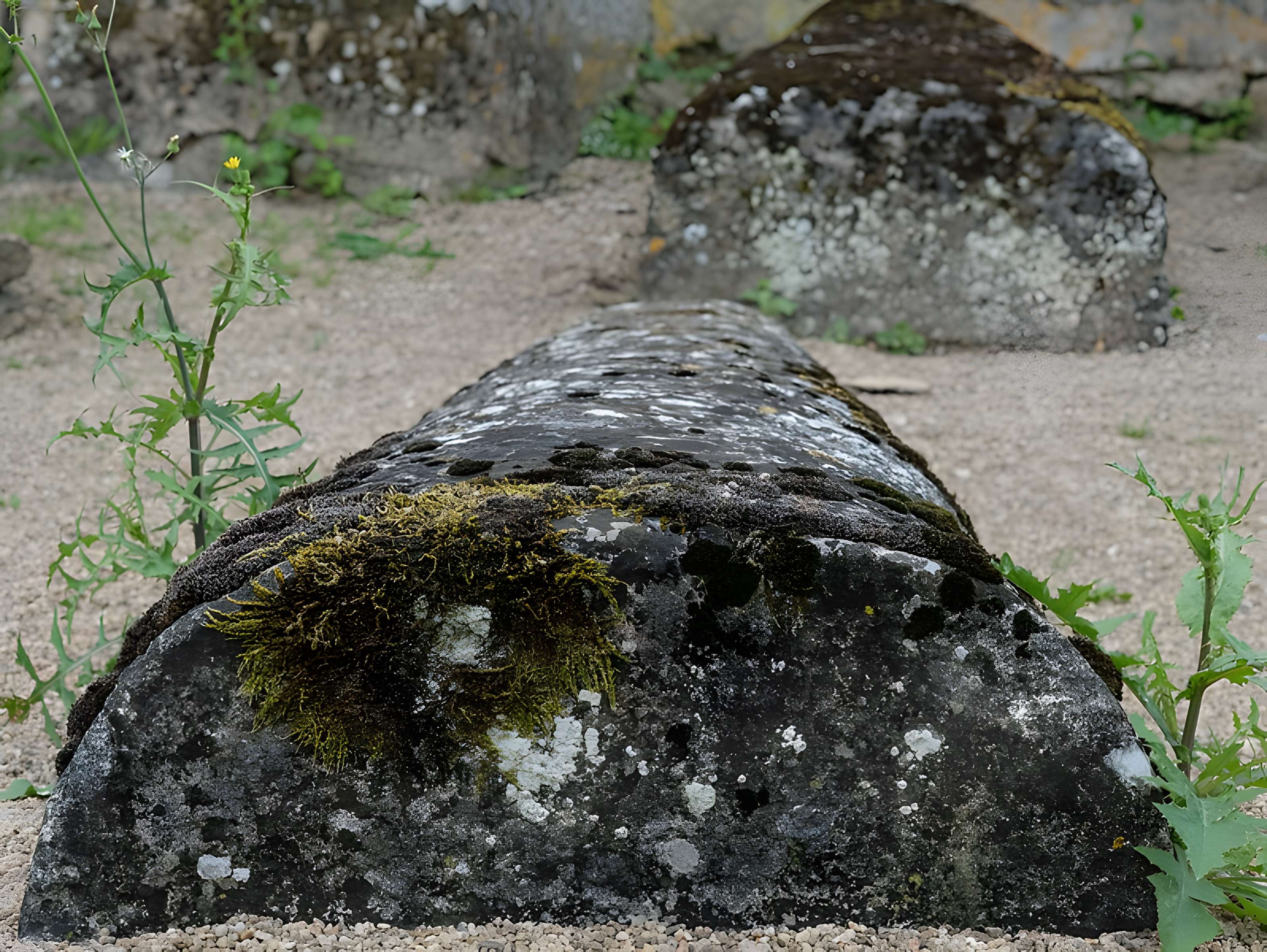 Église Saint-Georges de Quarré-les-Tombes