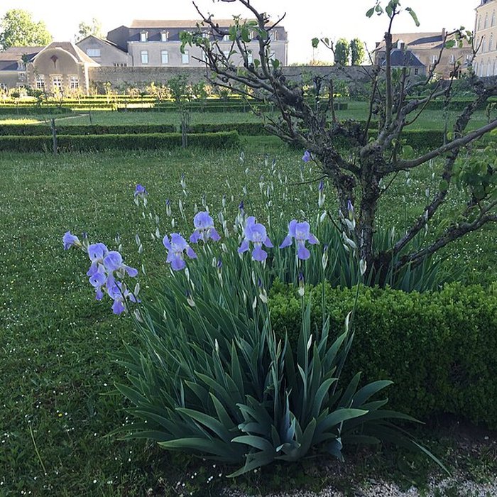 Photo de Abbaye Notre-Dame dÉvron