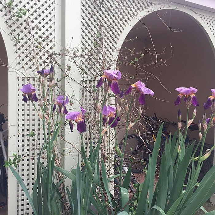 Photo de Abbaye Notre-Dame dÉvron