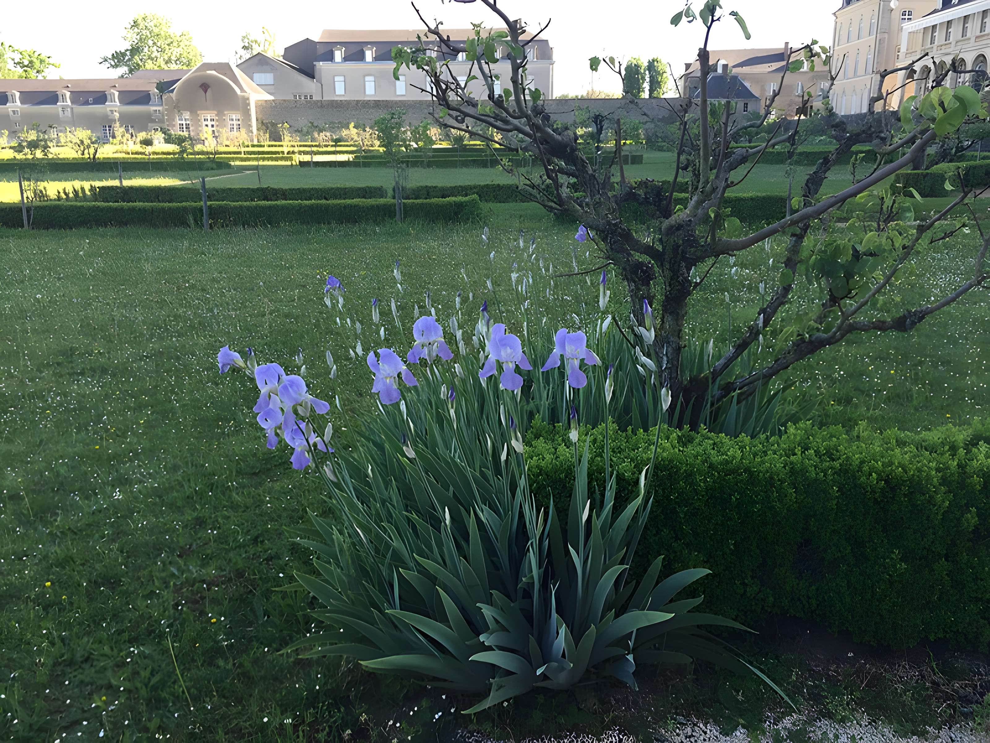 Abbaye Notre-Dame d'Évron