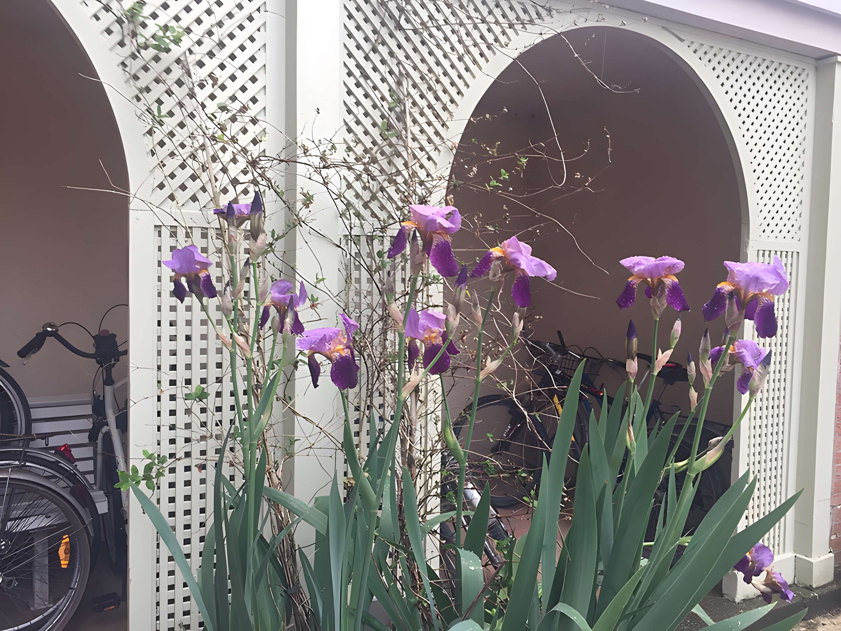 Abbaye Notre-Dame d'Évron